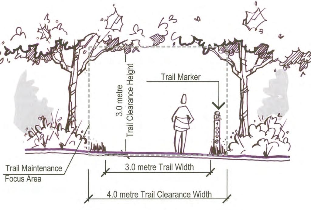 CITY OF CAMBRIDGE TRAILS MASTER PLAN Trail Clearance Width And Trail Maintenance Areas Will Be Required To Be Wider At