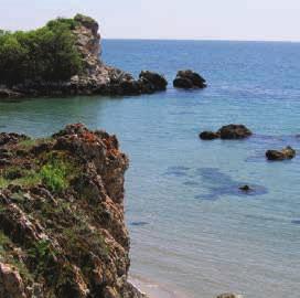 The proximity of the deposits to the Black Sea allows for treatment of the respiratory tract by inhalation, a prerequisite for the development of balneological tourism.