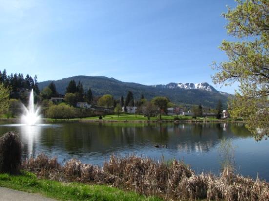 SALMON ARM INFORMATION The City of Salmon Arm is situated at the most southern point of the Shuswap Lake, in the heart of