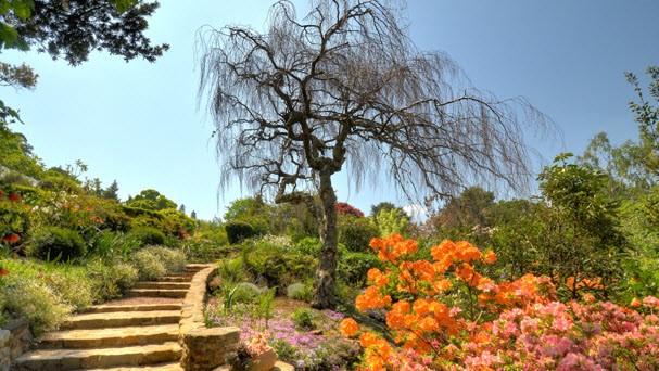 Visits are planned into Hester Malan Garden in the Goegap Nature Reserve, Namaqua National Park, Skilpad Wildflower Reserve near Kamieskroon.