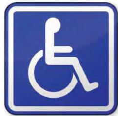 REQUIREMENT 7H Participate in an activity with an organization whose members are disabled.