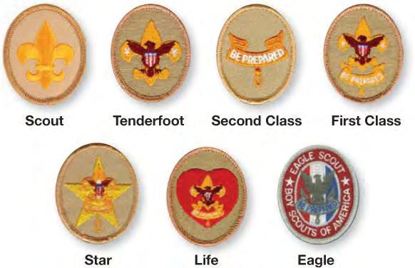 After earning the Scout rank, you work through six other ranks: Tenderfoot, Second Class, First Class, Star, Life, and