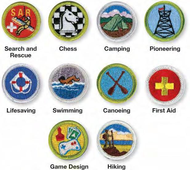 Master basic skills in camping, first aid, nature study, and more Earn 21 merit badges Serve your troop as a leader Serve your community through service projects, including a big one you plan and