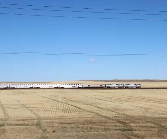 AMTRAK locomotives 42 and 75 lead the Empire Builder west through wheat fields that stretch from horizon to horizon near Malta, Montana.