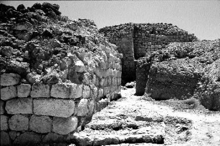 Fig. 6 - The stone platform connected with the turret M9. some bigger stones coming from the partially collapsed wall M9.