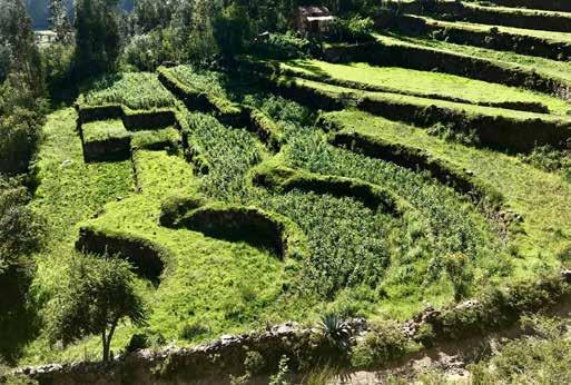 Visit the archaeological site of Pumamarka and Visit to the Half-Moon terraces Visit to the town of Ollantaytambo In the morning From Huilloc to Pumamarka Join the rest of the group for a visit to