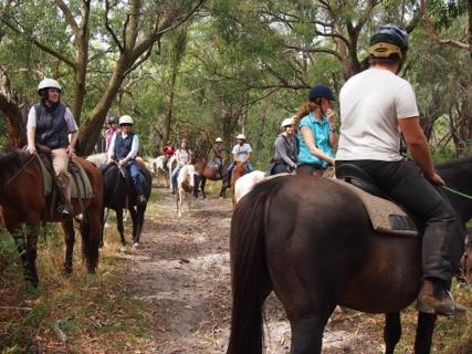 7.0 Develop brumby riding tours at Hermannsburg 7.