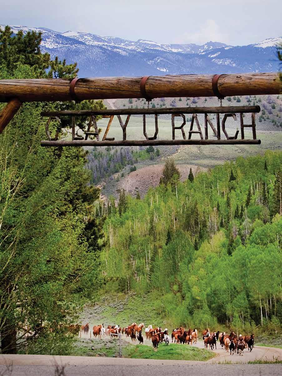 C Lazy U Ranch offers us the beauty of the Rocky Mountains, outdoor activities we love and the opportunity to become part of a new ranch family including other members and the warm and