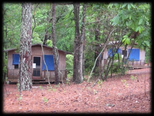 Tall Timbers Outside Group Rental Fee: $55 per night Cabin unit with 4 cabins Cabins have ceiling fan with lights Bathroom and shelter have electricity Can accommodate 32 people (girls and adults)