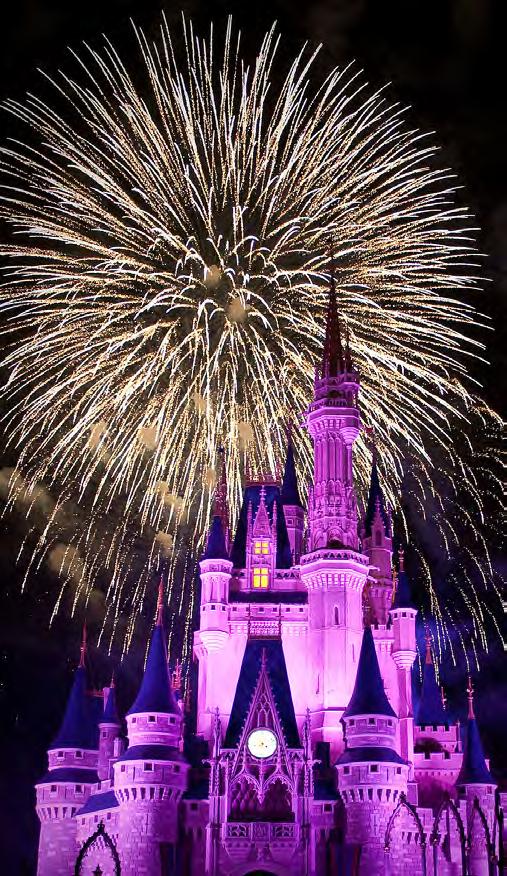 WATCH AN EPIC FIREWORKS DISPLAY You don t have to wait for the fourth of July to enjoy an incredible fireworks extravaganza. It happens nightly at Disney s Magic Kingdom!