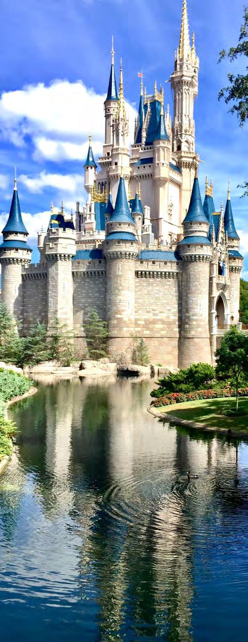 DISNEY INSIDER S GUIDE From travel expenses and theme park tickets to souvenirs, accommodations and meals, the costs of a Walt Disney World