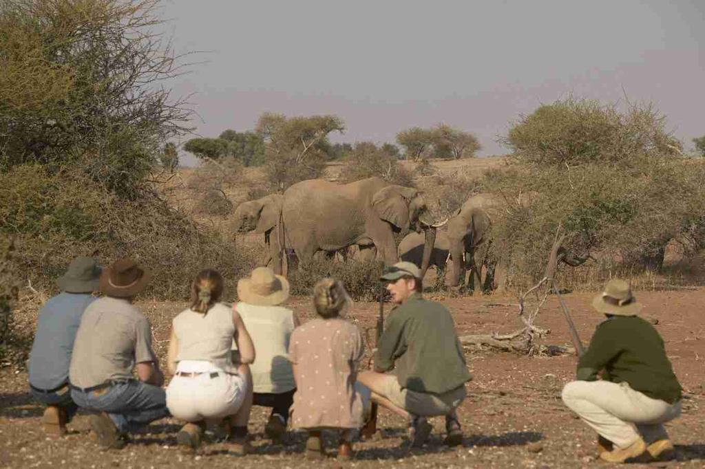 For anyone who would love to join their friends or family on this safari but choose not to ride.