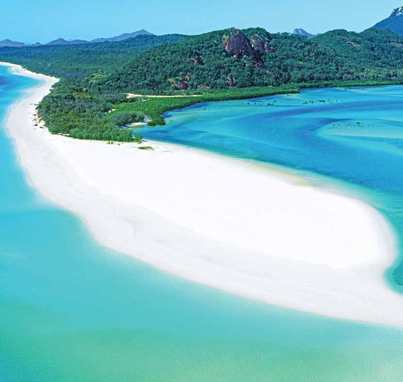 Cruise Whitsundays high speed and comfortable vessels cruise through the Whitsunday Islands to Whitehaven Beach twice per day offering a taste of this spectacular icon.
