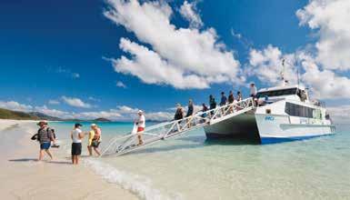 Morning or afternoon tea is served on board the cruise. Please note: The half day cruise visits the main 7km stretch of Whitehaven Beach.