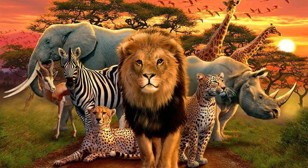 LON SOLOMON S Daniel, the Lions, and the End Times Tour MARCH 28 - APRIL 4, 2019 Victoria Falls Extension APRIL 4-7, 2019 Without a doubt, one of the most well-known events in all the Bible is the