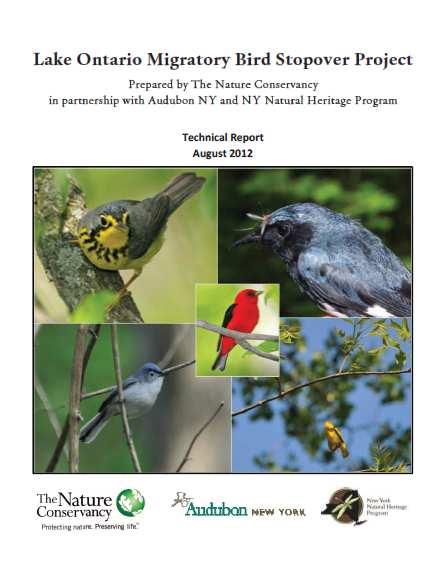 Migratory bird stopover study Expert birder/volunteers Surveyed patches of woodland