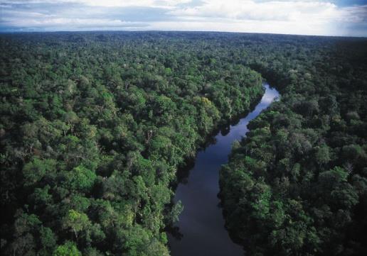 ENCOUNTER THE AMAZON - MAY 17th-19th The Amazon is the world s largest and densest