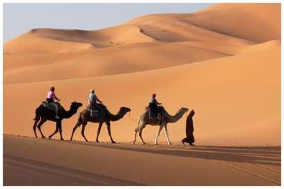 Sahara Trek The Camel Caravan Trail Trek Morocco is a land of enduring fascination and enchantment.