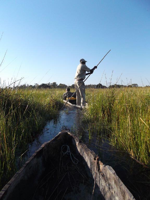 Okavango Delta DESCRIPTION The Okavango Delta is one of the most renown destinations of the whole Africa, especially appreciated for its wild landscapes and the animals that populate it.