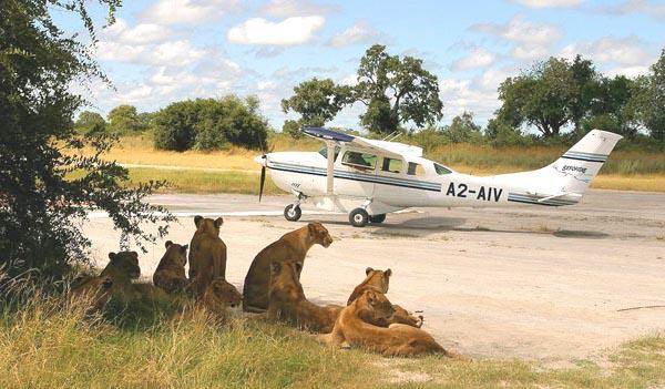 Safari Packages Fly & Lodge" Safari Packages Fly & Lodge are the most exclusive way to experience the breathtaking beauties of this region: prestigious lodges located in the most fascinating and