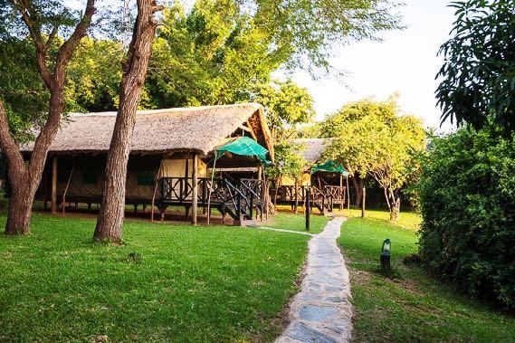 Safari of the 2 Parks Days: 8 Copper Rate SAFARI OVERVIEW Availability: Available all-year, except the month of February Transfers: Road transfer to Lower Zambezi Valley and Domestic scheduled flight