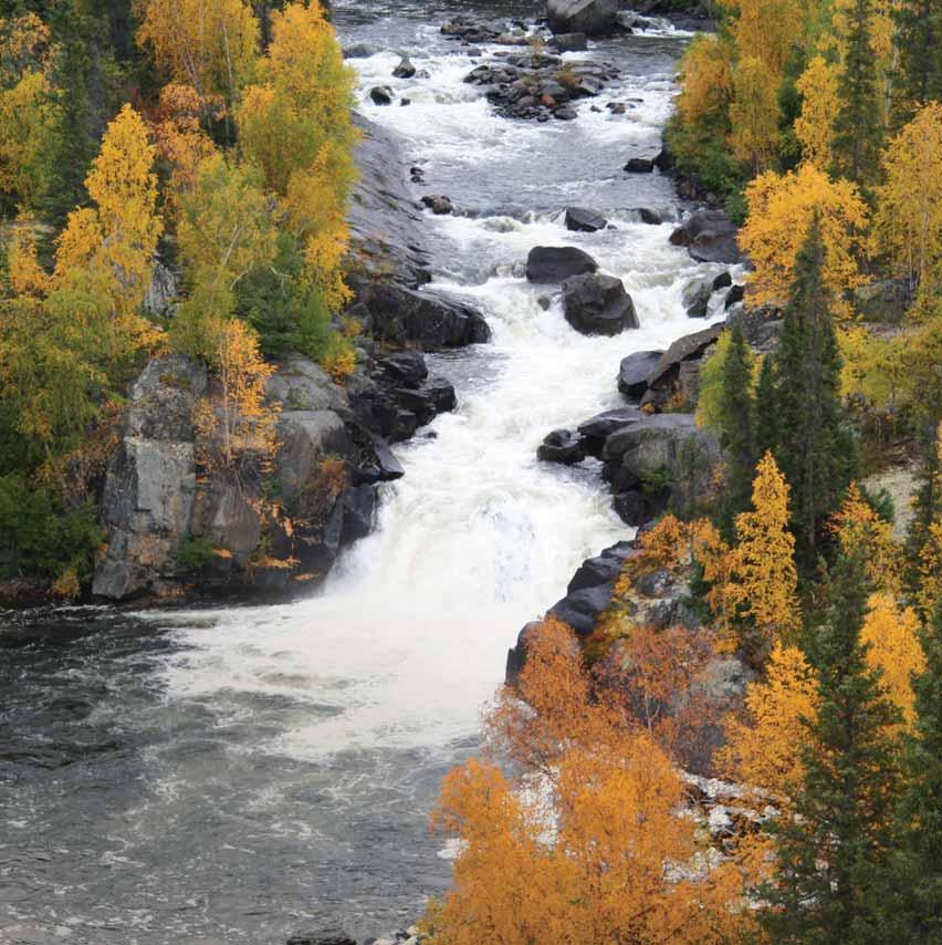 COMMITMENT TO PROTECT NEW AREAS TERRESTRIAL Proposed Thaidene Nene National Park Reserve in the Northwest Territories In 2010, Canada and the Łutsel K e Dene First Nation committed to negotiate a