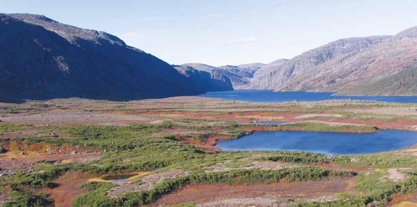 COMMITMENT TO PROTECT NEW AREAS TERRESTRIAL Proposed National Park Reserve in the Mealy Mountains in Newfoundland and Labrador In 2008, Canada and the Government of Newfoundland and Labrador