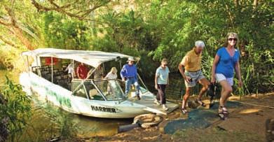 GULF SAVANNAH WAY 5 days Cairns to Broome Sturt Desert Pea Ord River Cruise DAY CAIRNS On arrival at Cairns airport you will be met and transferred to your hotel.