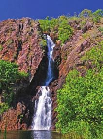 Wangi Falls, Litchfield Daly Waters Pub TOUR HIGHLIGHTS Overnight stay at the Cairns Hilton, ideally located in the heart of Cairns and on the waterfront Guided tour of the 90,000 year old Undara
