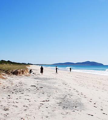 Explore and picnic on Black Head Beach and Hallidays Point.