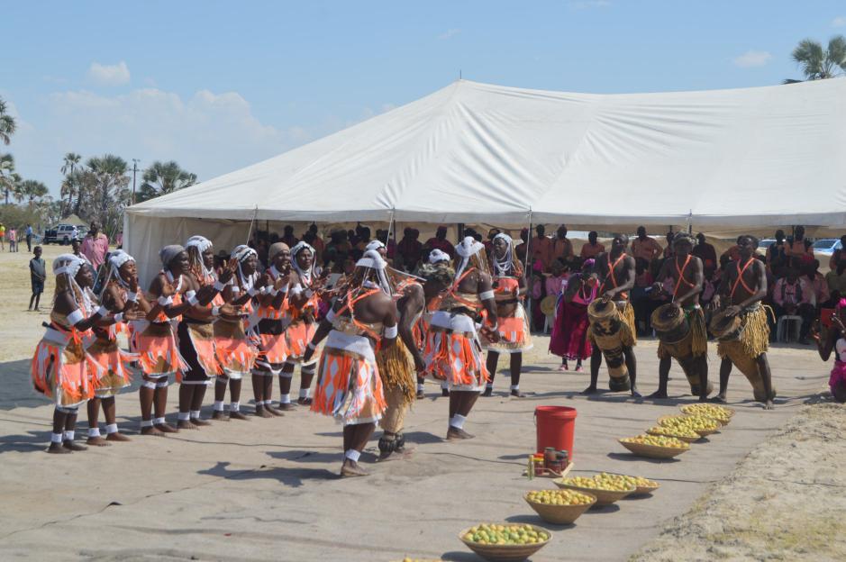 Ondonga Traditional Authority hosts the Marula Festival (Oshituthi shomagongo) CULTURE Traditional dancers perform for the audience during the opening ceremony of the Marula Festival (Oshituthi