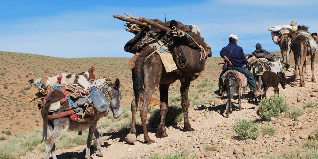 11 days Starts/Ends: Marrakech Come to Morocco and take the road less travelled on our unique bi-annual trek, where you will accompany a traditional nomadic family on their fascinating bi-annual