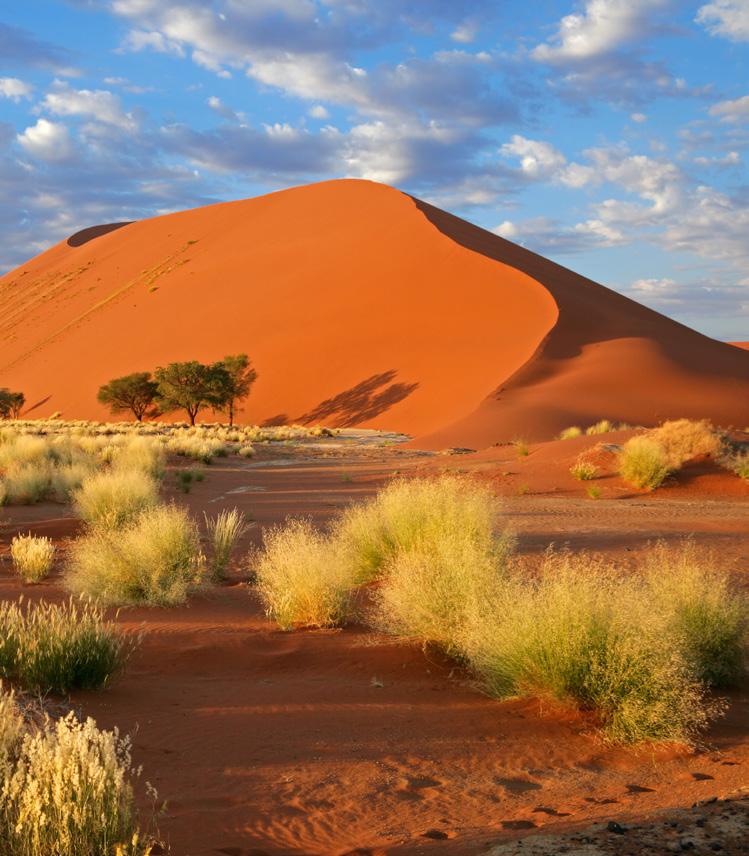 Namibia: Review of the Tourism Policy At the request of the Ministry of Environment and Tourism of Namibia, UNWTO provided technical assistance for the review of the Tourism Policy and the