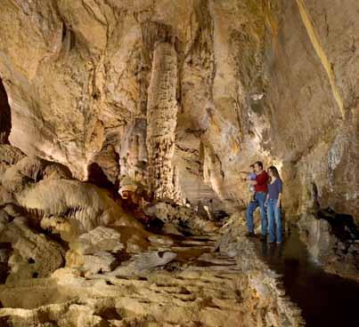 Technical Notes Erin Vauter, Natural Bridge Caverns Erin Vauter, Director of Group Programs at Natural Bridge Caverns started in the Tourism Industry 14 years ago as a Tour Guide while going to