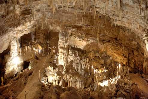 ŽUPANOVA JAMA THE MAYOR S CAVE This underground treasure of the Slovene Karst boasts all manner of karst phenomena and shapes: stalactites and stalagmites of all shapes and colors, chasms, shafts,