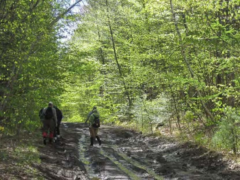 Identify key trail corridors to better connect communities, existing trail