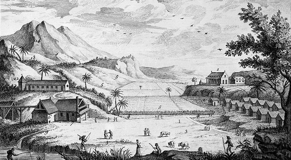 Agricultural based economy The islands of the West Indies were mainly used by their European colonizers as new areas where large scale farming could be done, to bring revenue to the respective