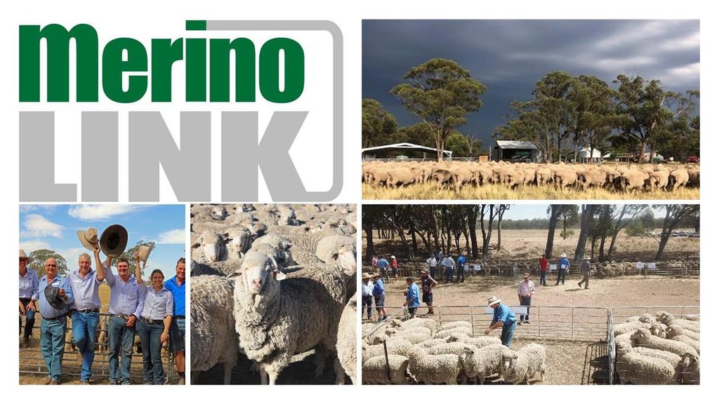 2018 MerinoLink Conference & Dinner Wednesday 20 th June 2018 Mercure Goulburn 2 Lockyer