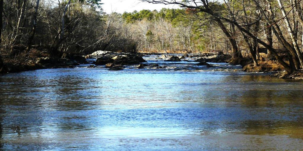 "Spreading southwestward from the banks of the Haw River and the shore of Jordan Lake lies an undeveloped wilderness of more than 10,000 acres Laying within the Cape Fear River Basin and draining