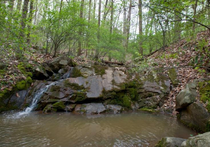Conservation A Virtual Tour Perennial streams Perennial streams flow year-round and include Robeson