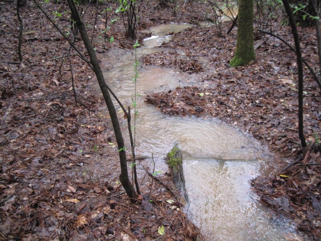 Conservation A Virtual Tour Ephemeral Streams Ephemerals are small headwater streams that run during