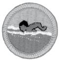 This is a good merit badge to introduce boating and is less difficult than rowing. Completion of the swimmer s test is mandatory.
