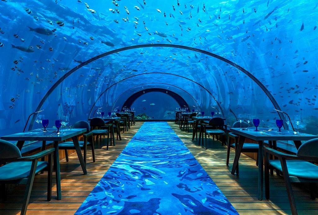 RESTAURANTS & BARS Restaurant KORAL Restaurant Coastal Flavours Indonesia s first aquarium dining experience, Koral Restaurant brings the wonders of the ocean to your table.