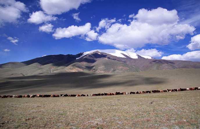 Mongolia Trip by Jeep, Horse and Camel - Tour start and tour end in the Mongolian capital Ulaanbaatar - Ögij Nuur Lake Khushuu Tsaidam Monuments - Horseback ride
