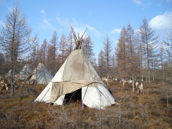 Welcoming from Tsaatan people in the tipi of family, traditional and ceremonial actions