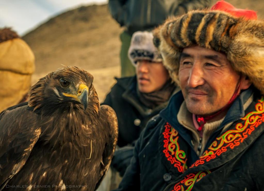 Hunting with eagles is a traditional form of falconry found throughout the Eurasian steppe and is
