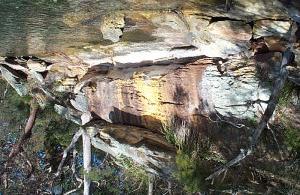 Sacred Darug sites What can