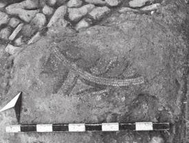 PROCEEDINGS OF THE DANISH INSTITUTE AT ATHENS VOLUME VII Fig. 4. Fragment of mosaic floor from the Early Christian basilica found in trial trench Aa3.