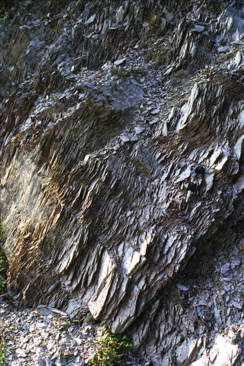 Delce razpadlih kamnin prenašajo potoki in reke z višjih območij v nižine in končno v morja.