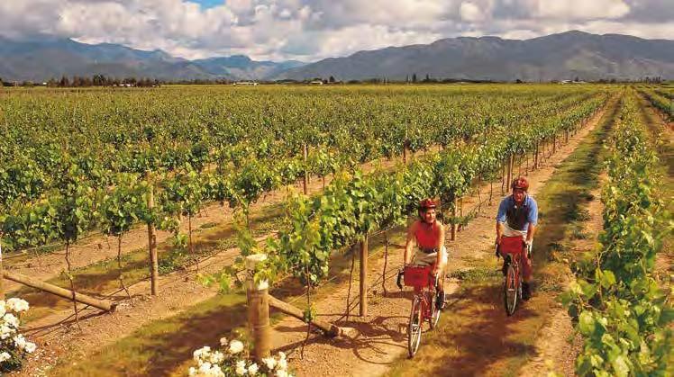 A Walker s Paradise Cycling Holidays 1 NGA HAERENGA, THE NEW ZEALAND CYCLE TRAIL Pedalling through some of New Zealand s most breathtaking scenery must be one of the best ways to immerse yourself in